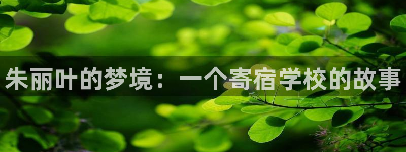汗汗漫画网在线