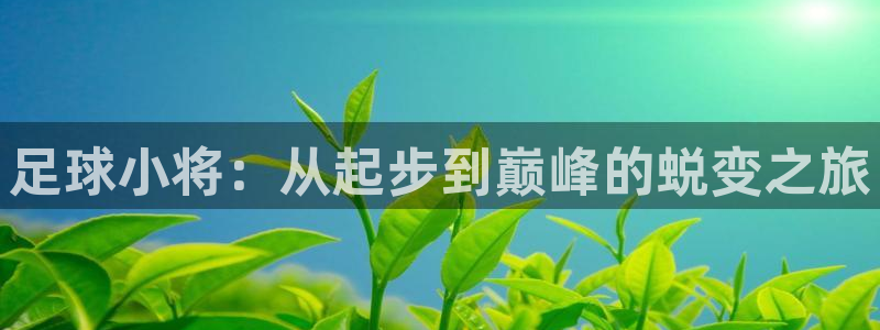 汗汗漫画网站官网