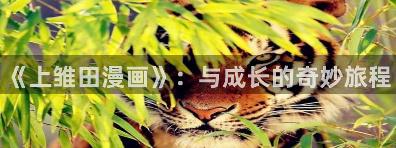 汗汗漫画免费在线阅读入口