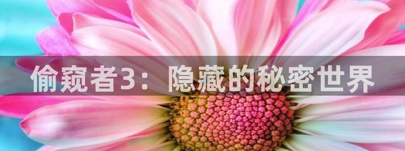 羞羞av汗汗漫画：偷窥者3：隐藏的秘密世界