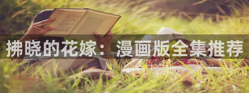 汗汗漫画――歪歪漫画3d：拂晓的花嫁：漫画版全集推荐