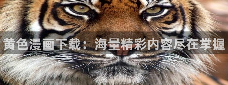 汗汗漫画动漫：黄色漫画下载：海量精彩内容尽在掌握