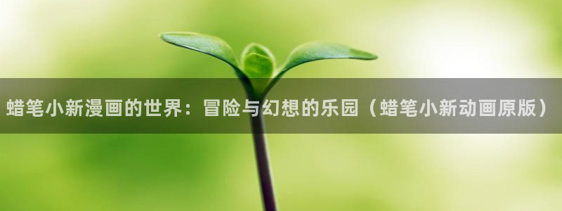 汗汗漫画3d：蜡笔小新漫画的世界：冒险与幻想的乐园（蜡笔小新动画原版）