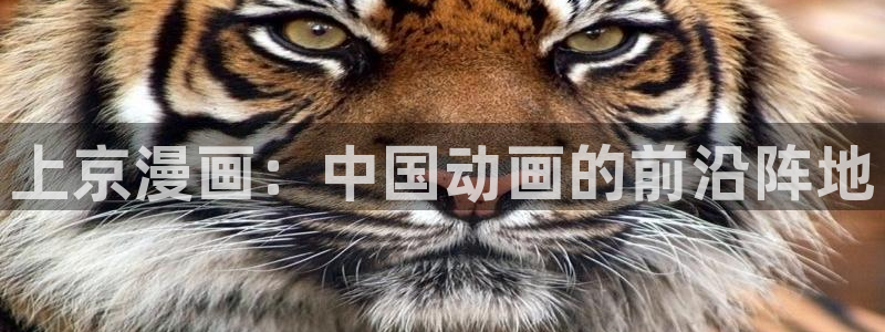 汗汗漫画进入：上京漫画：中国动画的前沿阵地